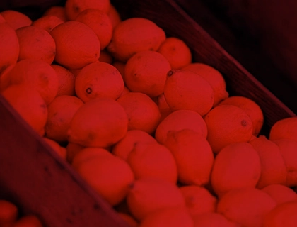 fruti2